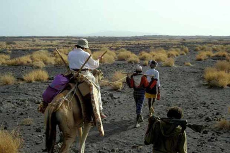 camel riding afar ethiopia
