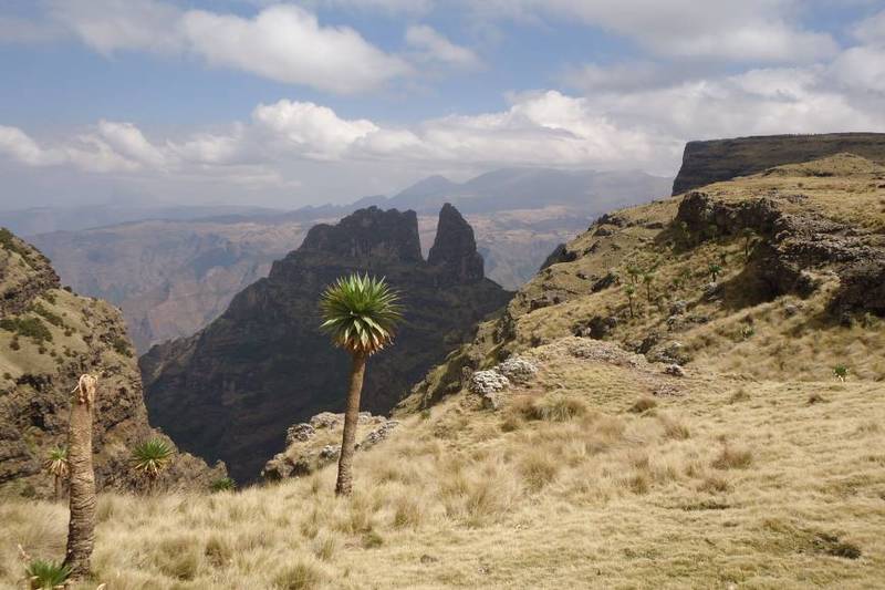  simien mountain trek ethiopia 